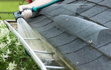 Dendron gutter cleaning costs