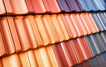 Dendron roof tile costs