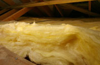 Dendron pitch roof insulation